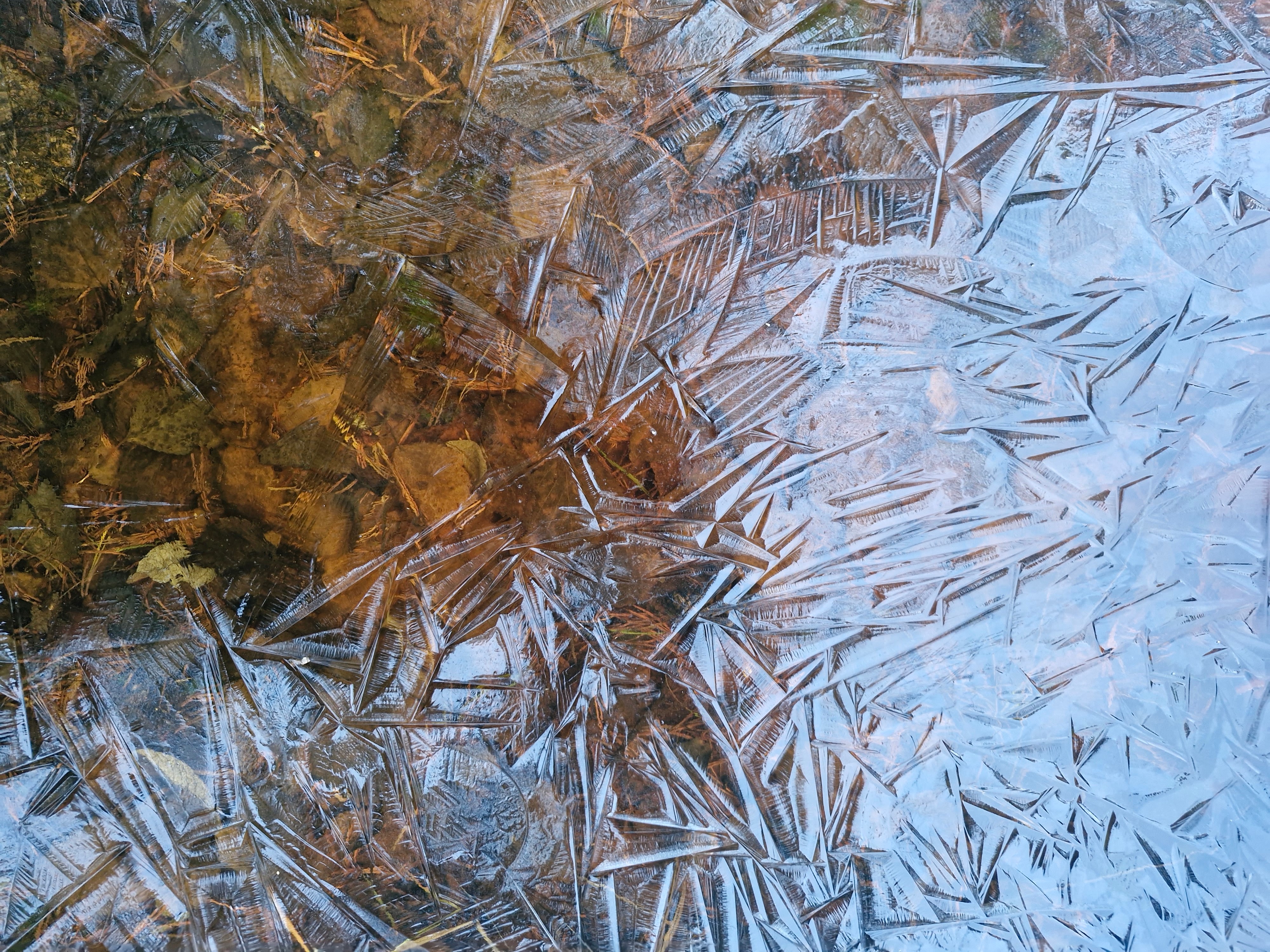 Pelkkää kotimaista: tammikuun yhteenveto